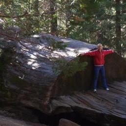 yvette-usa-2006-sequoia-national-park-19
